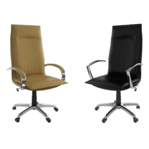 Fauteuil de bureau ergonomique
